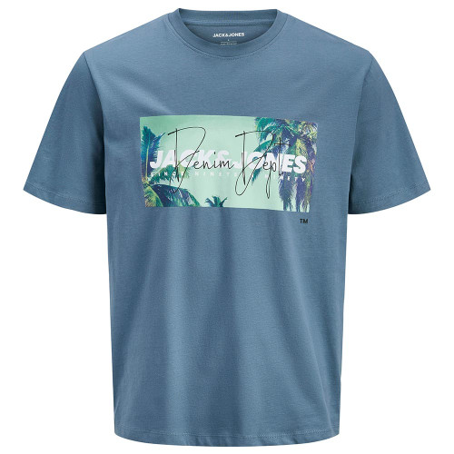 Jack & Jones Ανδρική κοντομάνικη μπλούζα Indiana Crew Neck T-Shirt